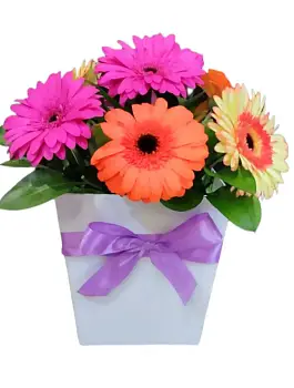 Доброе утро